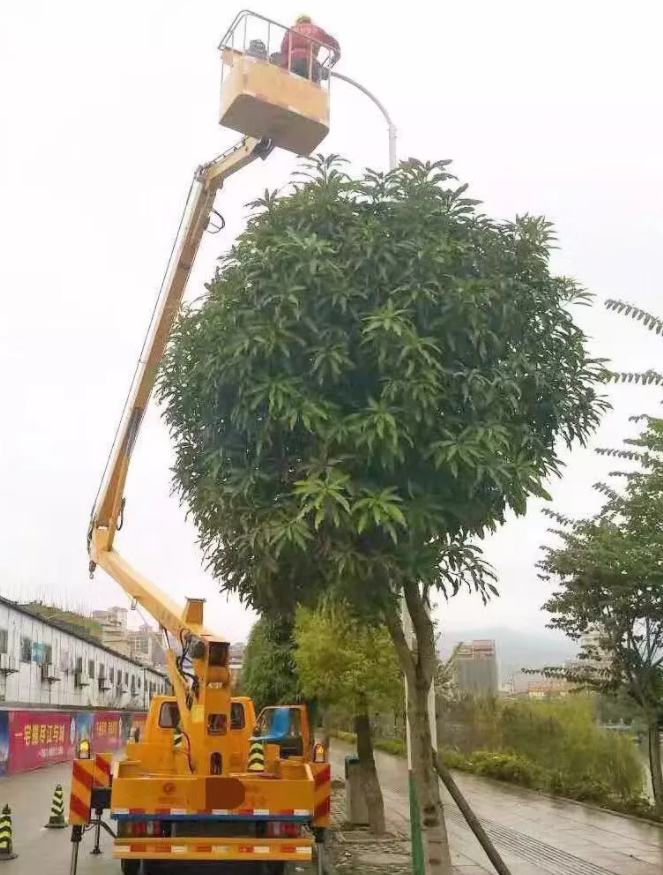 &#20048;&#40060;